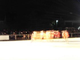 SDC10126.JPG