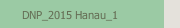 DNP_2015 Hanau_1